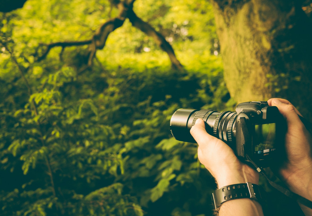 Landscape photographer grows business in age of digital disruption