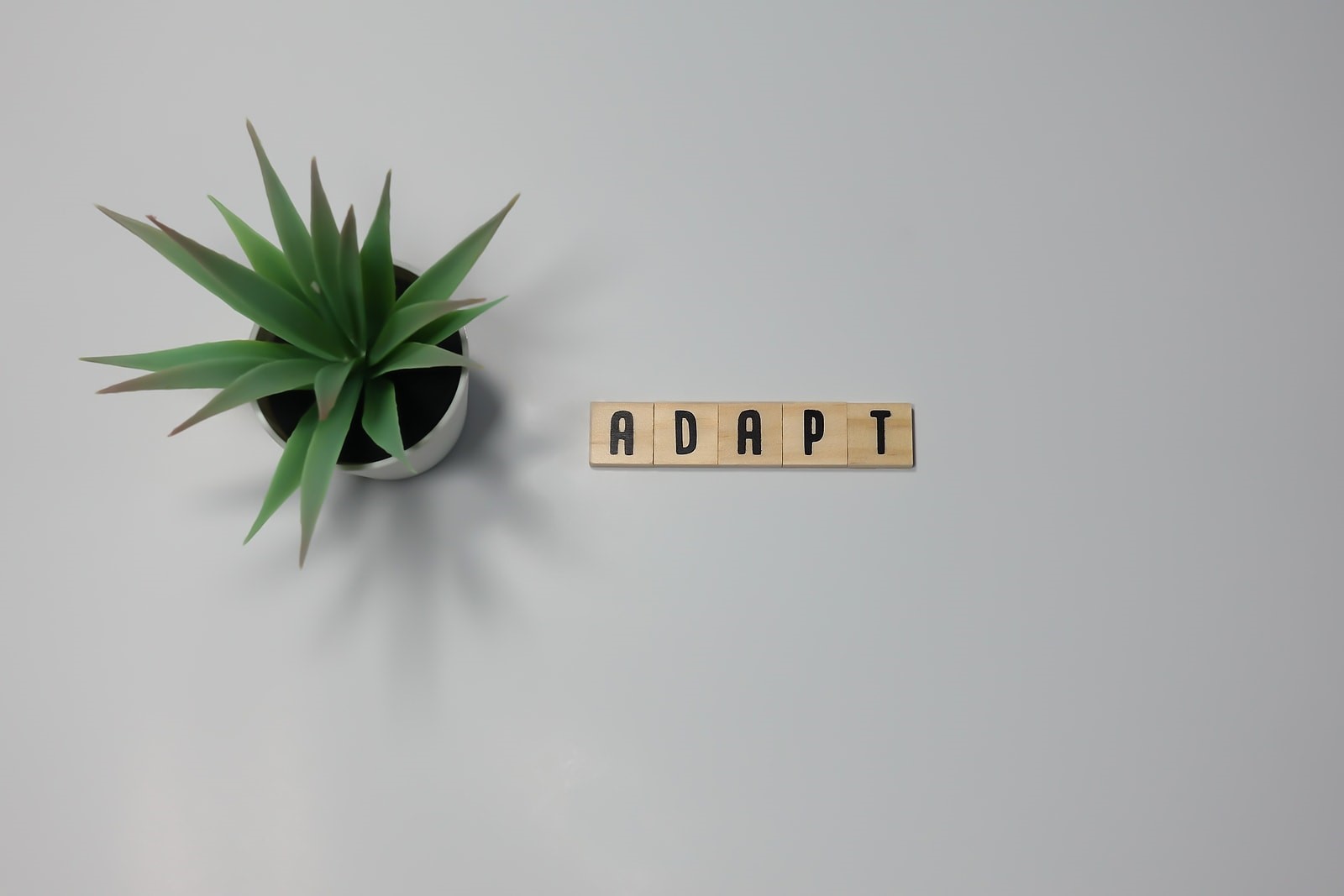 How Businesses Can Successfully Deal with Change