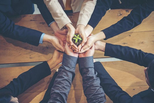How Sustainability Adds Value to Your Business