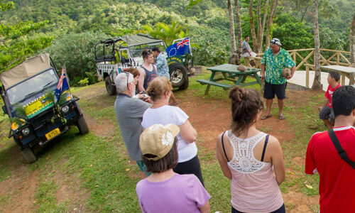iles_cook_rarotonga_raro_safari_tour_october_2013_1 (002) iles_cook_rarotonga_raro_safari_tour_october_2013_1 (002)